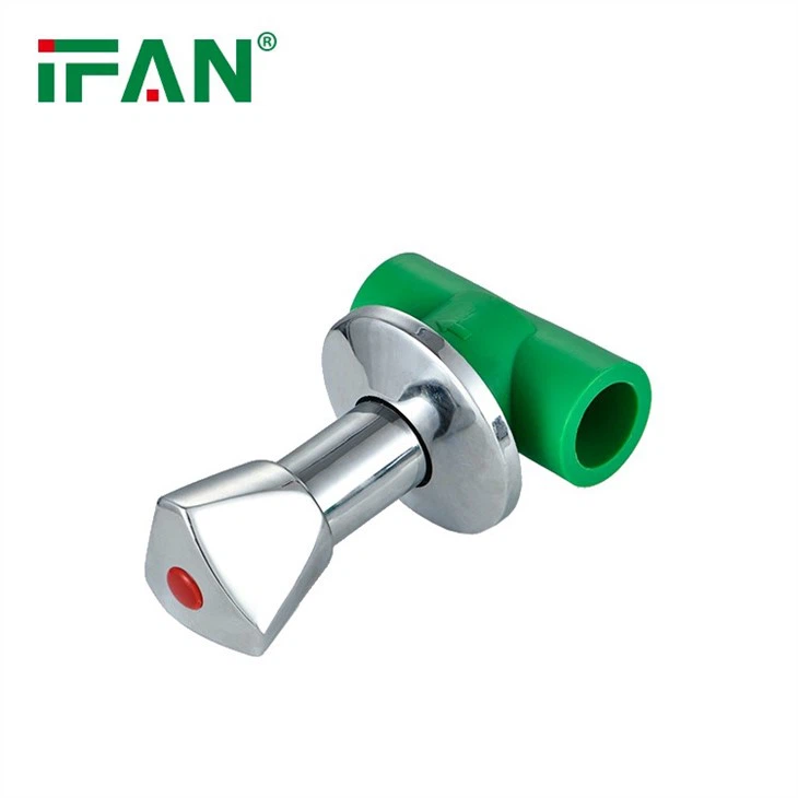 PPR Dark Valve